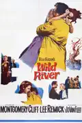 Wild River (1960) summary, synopsis, reviews
