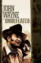 The Undefeated (1969) summary and reviews
