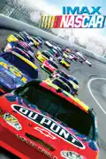 NASCAR: The Experience summary, synopsis, reviews