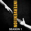 Intervention, Season 1 cast, spoilers, episodes, reviews