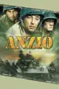 Anzio summary and reviews