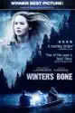 Winter's Bone summary and reviews