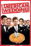 American Wedding summary, synopsis, reviews