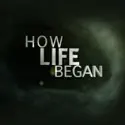 How Life Began recap & spoilers