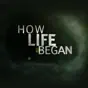 How Life Began