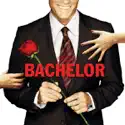 The Bachelor, Season 14 cast, spoilers, episodes, reviews