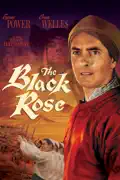 The Black Rose summary, synopsis, reviews