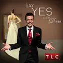 Say Yes to the Dress, Season 6 cast, spoilers, episodes, reviews