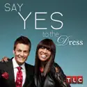 Say Yes to the Dress, Season 7 watch, hd download