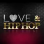Love & Hip Hop, Season 1