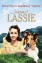 The Courage of Lassie summary and reviews
