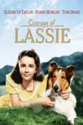 The Courage of Lassie summary, synopsis, reviews