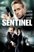The Sentinel summary, synopsis, reviews