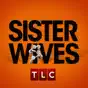 Sister Wives, Season 1