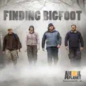 Finding Bigfoot, Season 2 watch, hd download