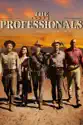 The Professionals (1966) summary and reviews