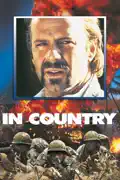 In Country summary, synopsis, reviews