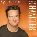 The Best of Chandler cast, spoilers, episodes, reviews