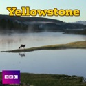 Yellowstone, Series 1 reviews, watch and download