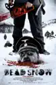 Dead Snow summary and reviews