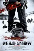 Dead Snow summary, synopsis, reviews