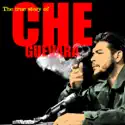 The True Story of Che Guevara recap & spoilers