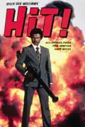 Hit! (1973) summary, synopsis, reviews