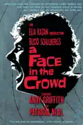 A Face In the Crowd (1957) summary, synopsis, reviews