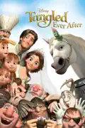 Tangled Ever After summary, synopsis, reviews