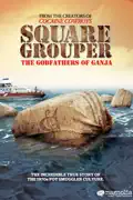 Square Grouper: The Godfathers of Ganja summary, synopsis, reviews