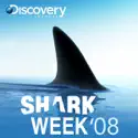 Shark Week, 2008 cast, spoilers, episodes, reviews