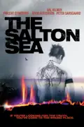 The Salton Sea summary, synopsis, reviews