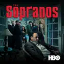 Mayham (The Sopranos) recap, spoilers