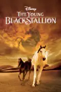 The Young Black Stallion summary, synopsis, reviews