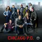Chicago PD, Season 3