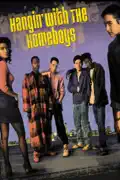 Hangin' with the Homeboys summary, synopsis, reviews