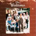 The Waltons, Season 1 cast, spoilers, episodes, reviews