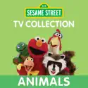 Sesame Street, TV Collection: Animals watch, hd download