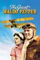 The Great Waldo Pepper summary and reviews