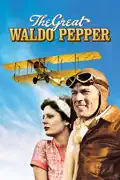 The Great Waldo Pepper summary, synopsis, reviews