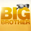 Episode 27 (Big Brother) recap, spoilers