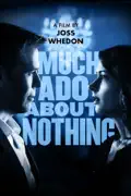 Much Ado About Nothing summary, synopsis, reviews