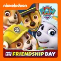 PAW Patrol, Pups Save Friendship Day watch, hd download