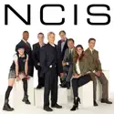 NCIS, Season 9 watch, hd download