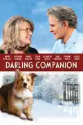 Darling Companion summary, synopsis, reviews
