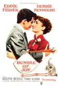 Bundle of Joy summary, synopsis, reviews
