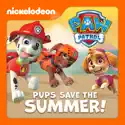 Pups Save the Sea Turtles / Pup and the Very Big Baby - PAW Patrol, Pups Save the Summer! episode 3 spoilers, recap and reviews