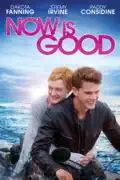 Now is Good summary, synopsis, reviews