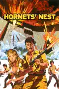 Hornets' Nest (1970) summary, synopsis, reviews