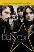 Big Star: Nothing Can Hurt Me summary, synopsis, reviews